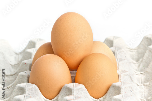 Chicken brown egg closeup view background