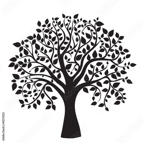 black tree silhouette isolated on white background