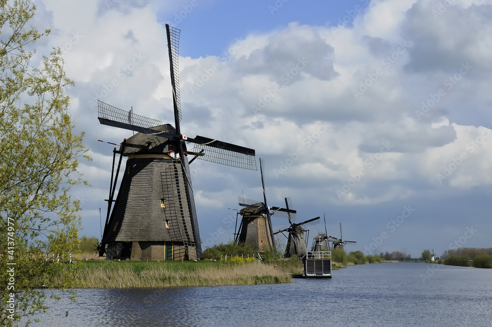 Naklejka premium windmills row at kinderdijk, netherlands