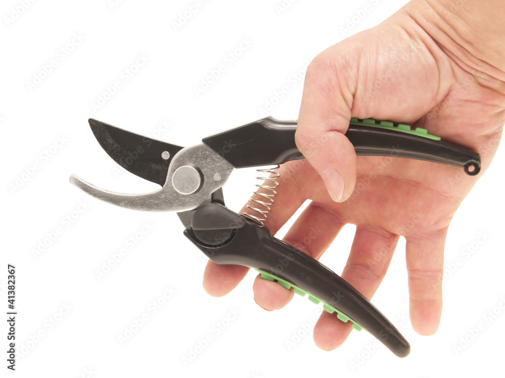 Obraz premium Garden pruner in a man's hand.