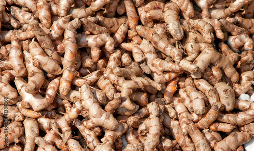 The Turmeric