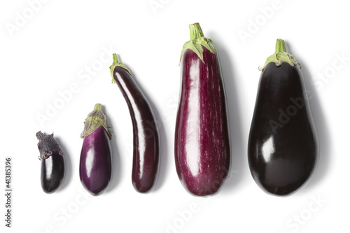 Composition of eggplants