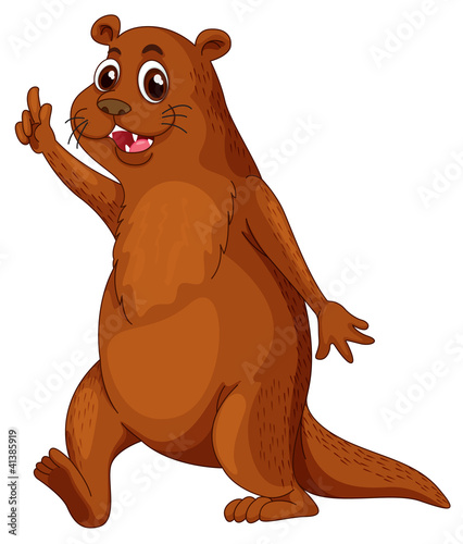 Otter