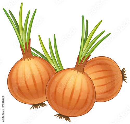 onions