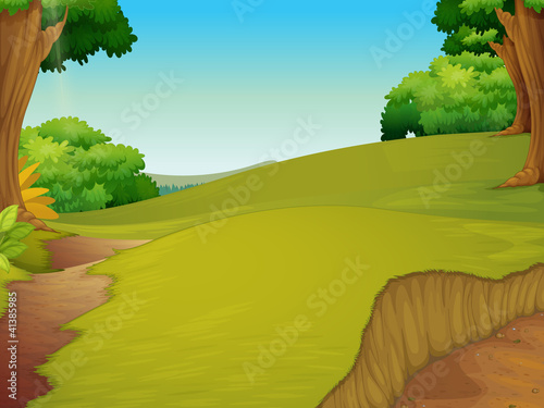 pasture