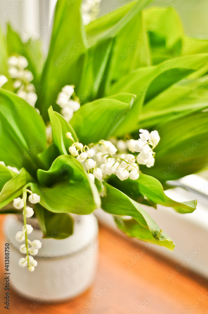Lilly of the valley Lilly of the valley