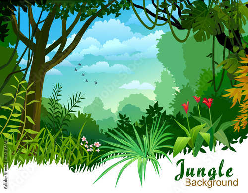 AMAZON JUNGLE TREES AND WILDERNESS