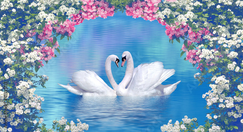Fotografie, Obraz Two swans framed with blooming flowers