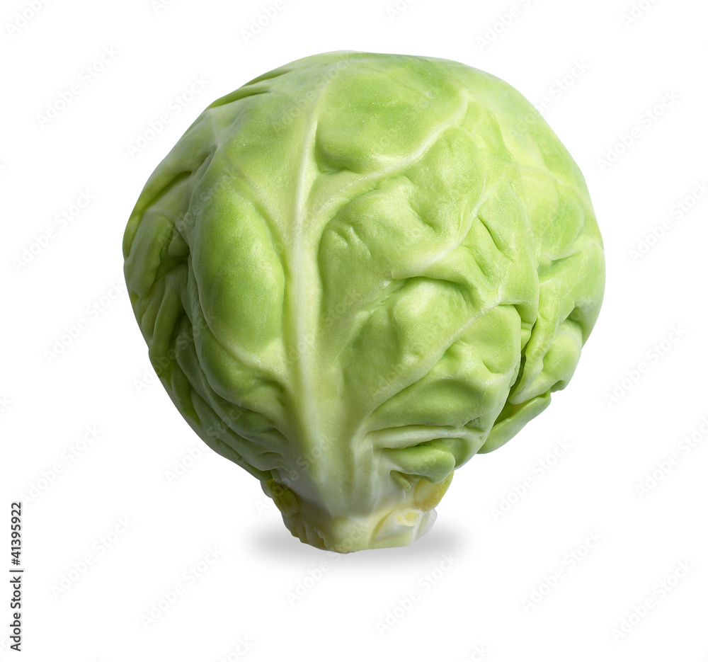 single brussels sprout isolated on white with path single brussels sprout isolated on white with path