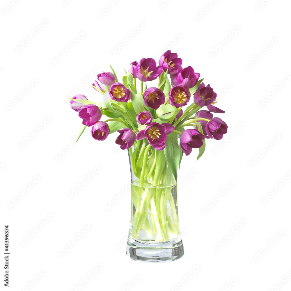 beautifil tulips  flowers in a vase isolated on white with clipp