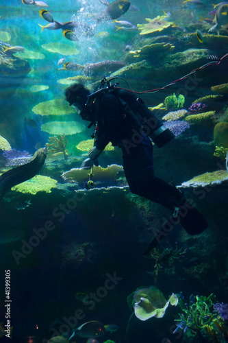 diver underwater with fish