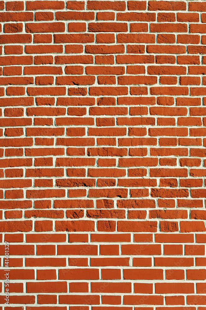 Fototapeta premium Brick wall