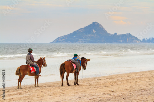 Two horse on beach.