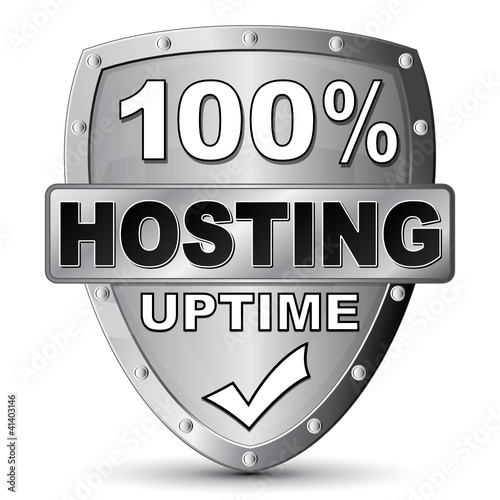 HOSTING UPTIME 100% ICON