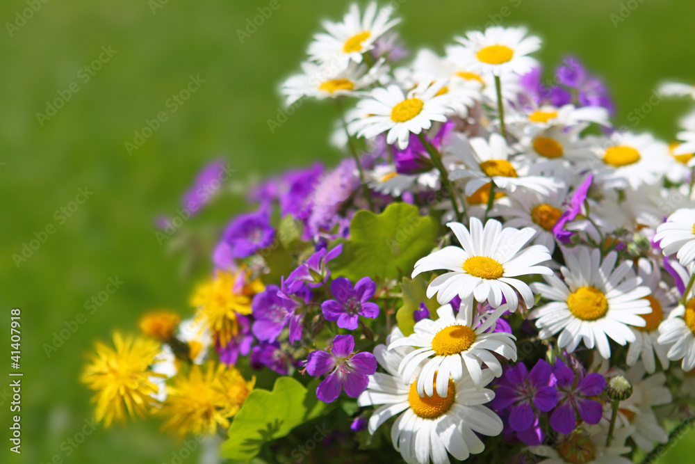 Fototapeta premium buoquet ,flower