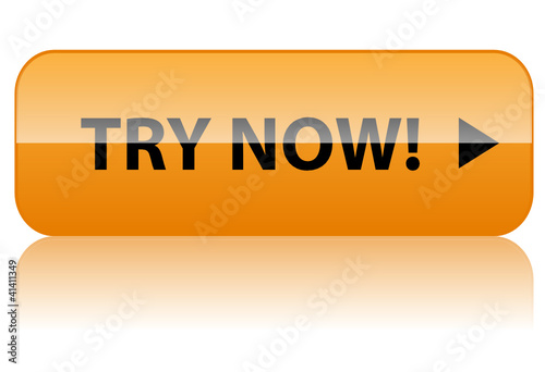 TRY NOW Web Button (free trial offers internet specials sale go)