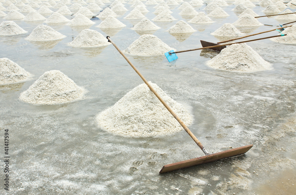 Fotografia Salt harvesting