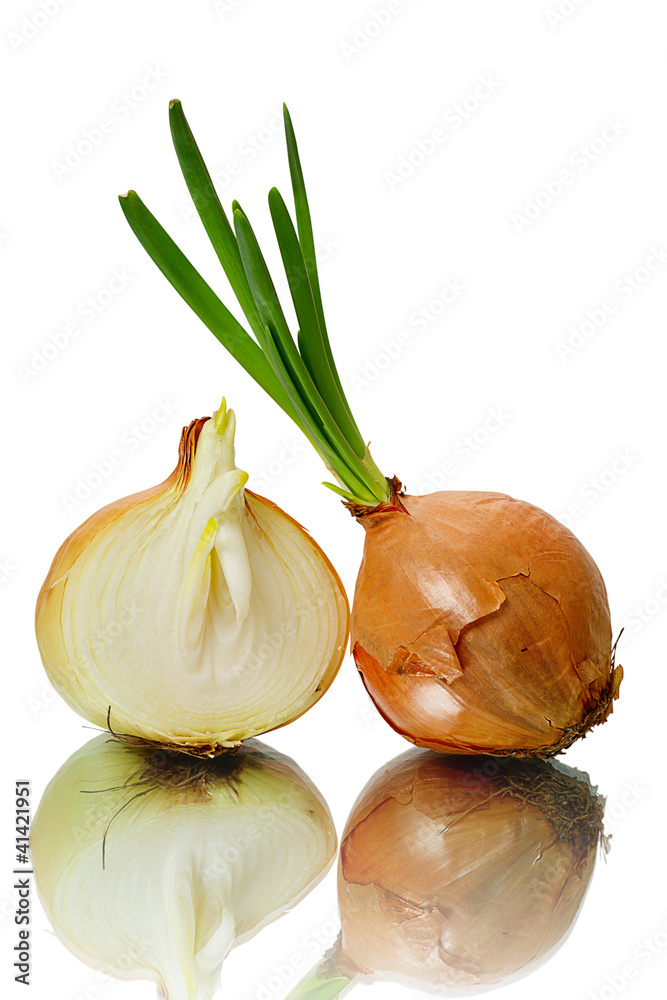 Sprouting onions