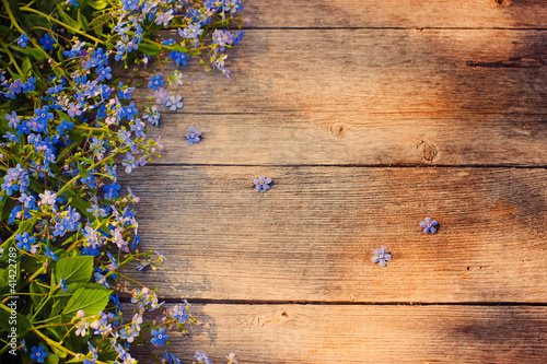 spring flowers on wooden background