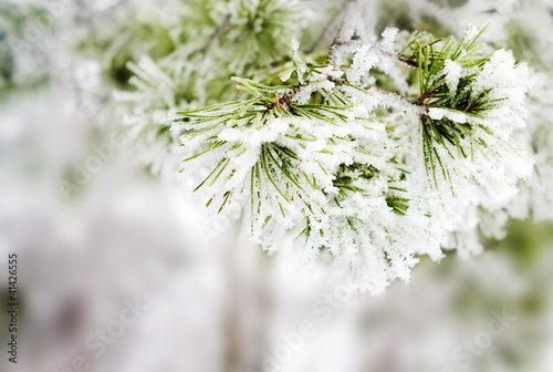 winter background