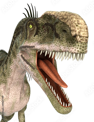 Fototapeta Naklejka Na Ścianę i Meble -  monolophosaurus close up portrait
