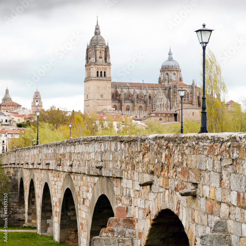 View on Cathedral in Salamanca(Spain)
