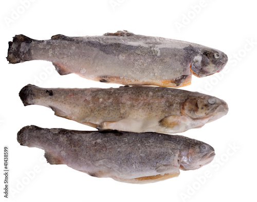 three frozen trouts isolated on white