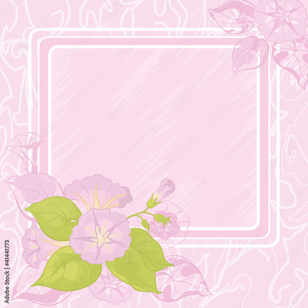 Background with flowers Ipomoea Background with flowers Ipomoea