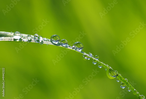 water drops