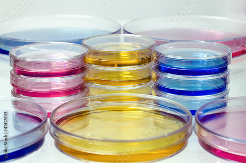 placas petri con fluidos de colores