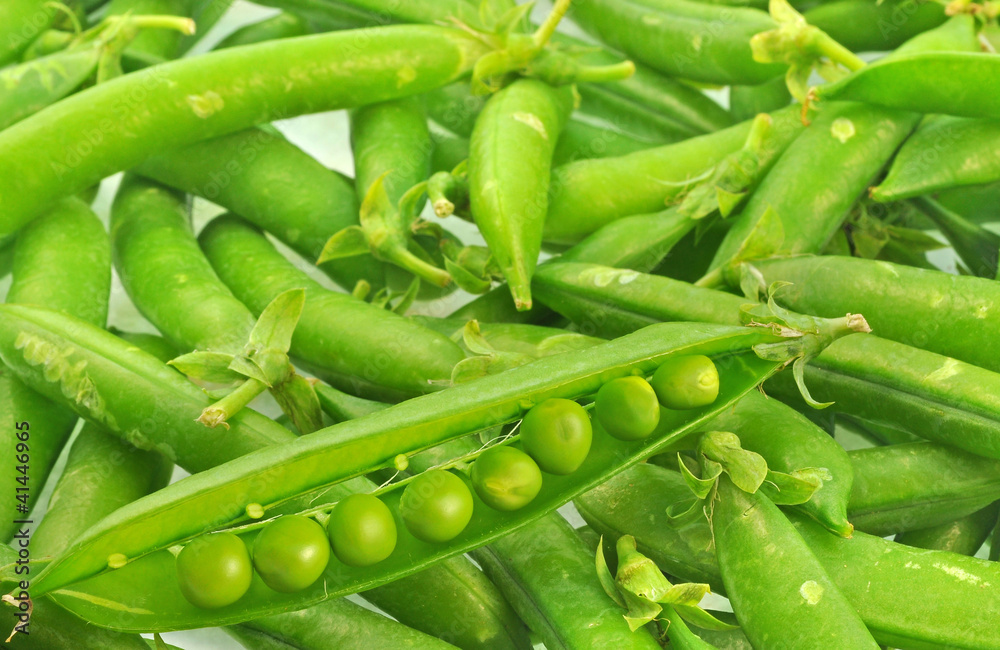 split pod of sweet pea ove pile of intact pods split pod of sweet pea ove pile of intact pods