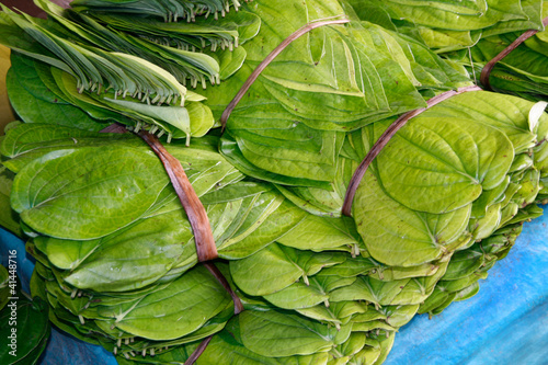 Betel-Blätter (Areka Catechu) auf indischem Markt