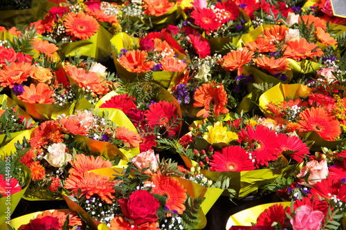 Blumenmeer auf dem Wochenmarkt