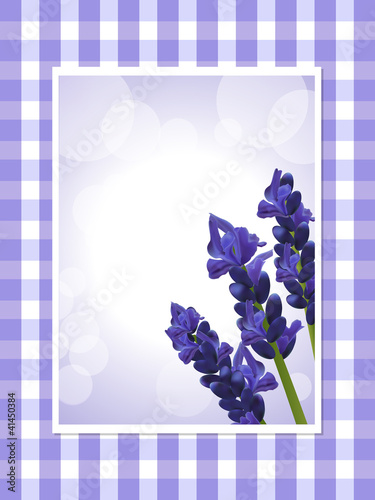 Fototapeta Naklejka Na Ścianę i Meble -  lavender on a gingham background