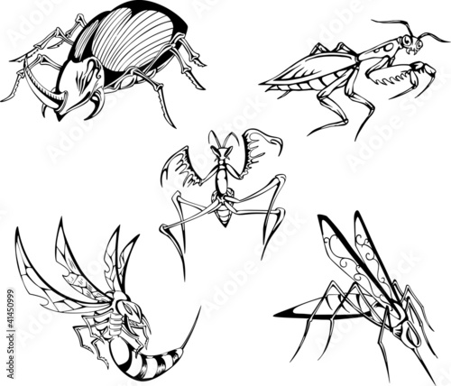 Dangerous insects
