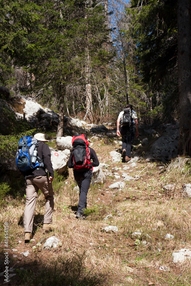 three mountaineers hiking through the forest three mountaineers hiking through the forest
