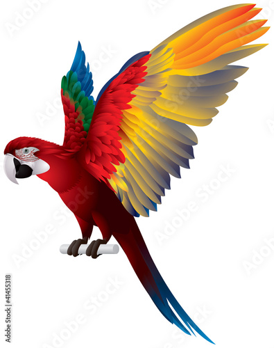 Parrot Spread Wings #41455318