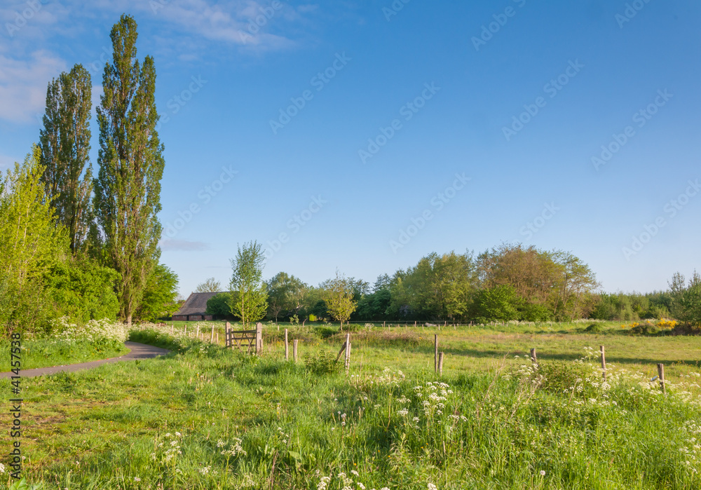 Obraz premium Dutch landscape in springtime