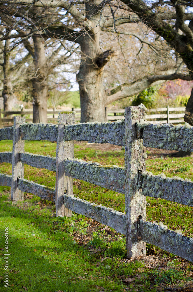 Fototapeta premium Old post and rail fence covered in moss