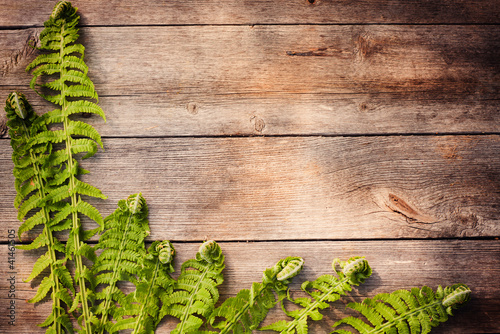 fern leaves on wooden background