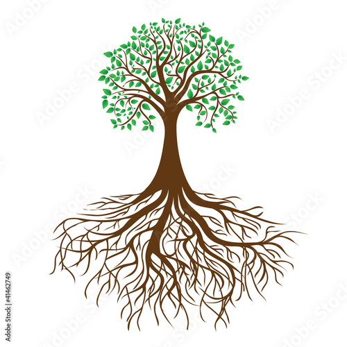 tree with roots and dense foliage, vector
