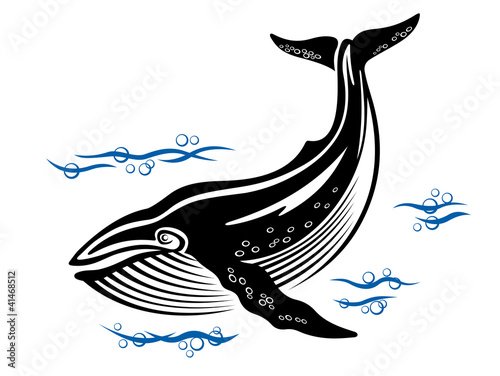 Big whale