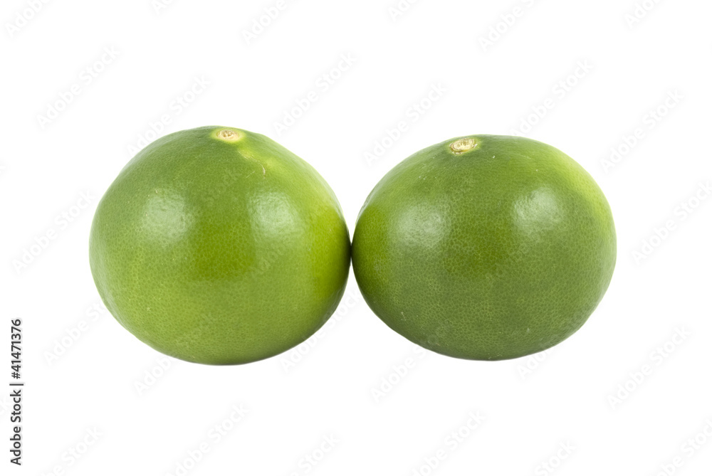 Limes isolated on white Limes isolated on white