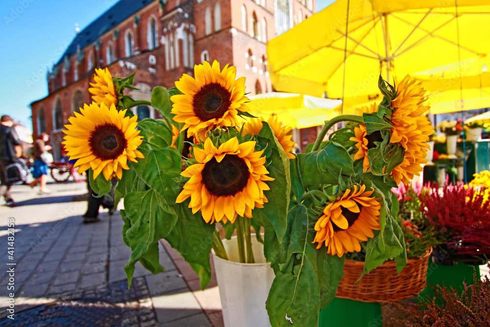 Obraz premium Main Market Square, Krakow, Poland