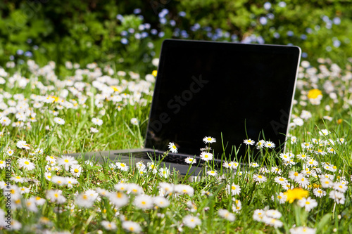 Notebook auf einer Wiese, Notebook on a meadow