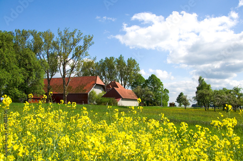 Bauernhof im Schwarzwald photo