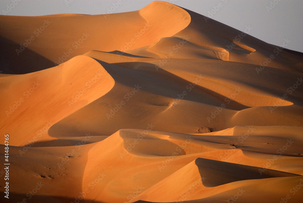 Dunes in Abu dhabi - obrazy, fototapety, plakaty 