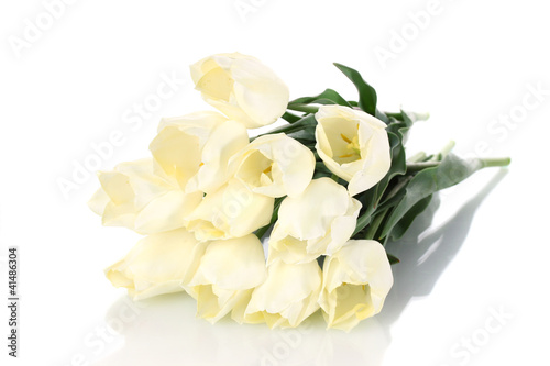 beautiful tulips isolated on white.