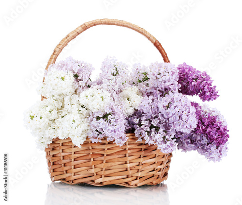 beautiful lilac flowers in basket isolated on white