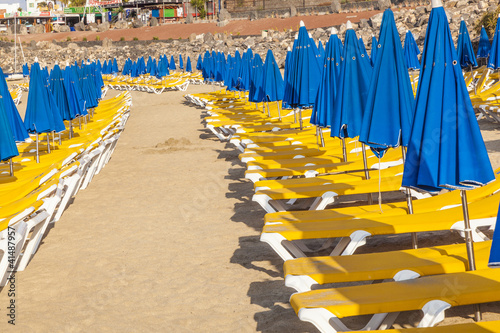 umbrellas and empty beach couches at the beach in morning light photo